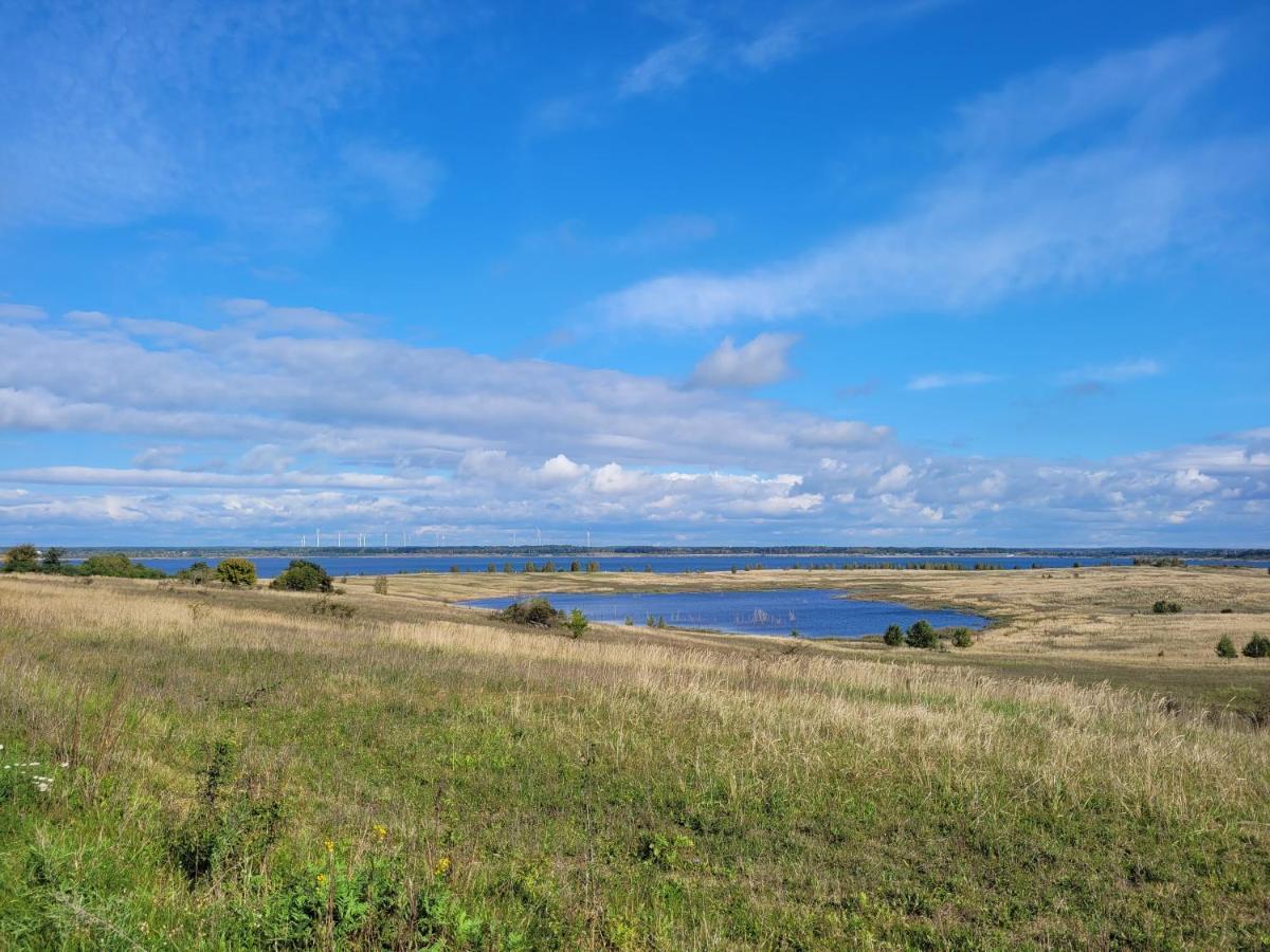 Ferienwohnung Seeblick Lausitzer Seenland Гросрешен Екстериор снимка